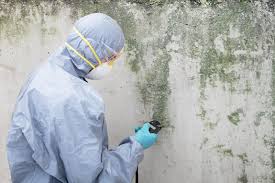 Best Comprehensive Air Testing for Mold Contaminants  in Harsville, RI